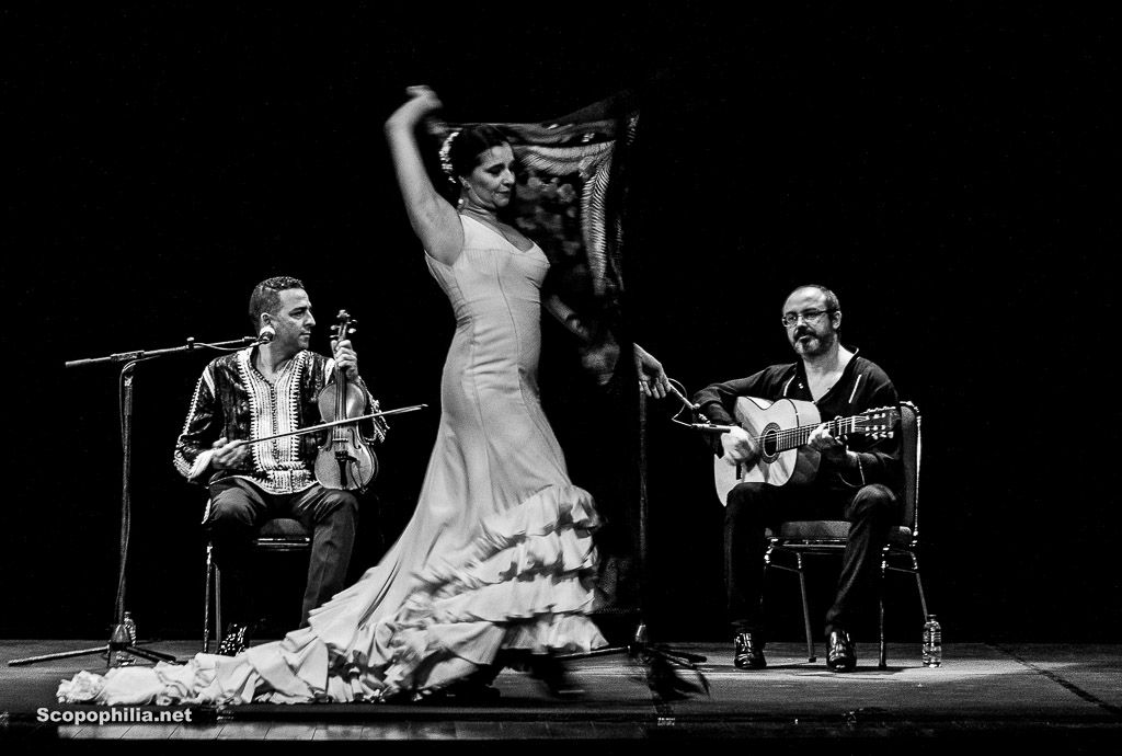 Chekara So close so far - Flamenco-7125