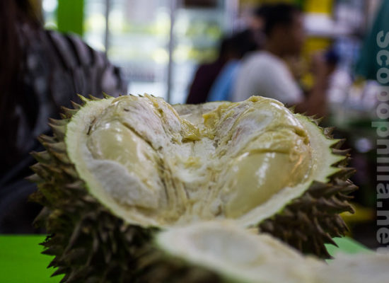 IMG 0640 durian ucok medan