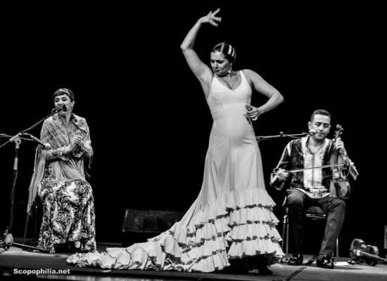 Chekara So close so far Flamenco