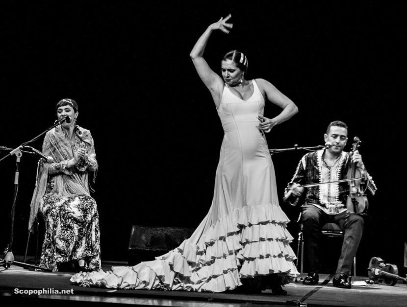 Chekara So close so far Flamenco